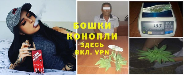 ГАЛЛЮЦИНОГЕННЫЕ ГРИБЫ Богородицк