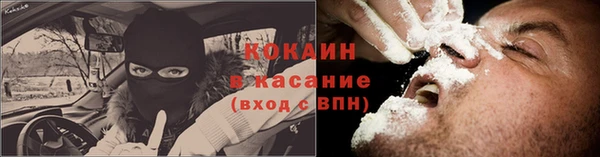 мдпв Богородск