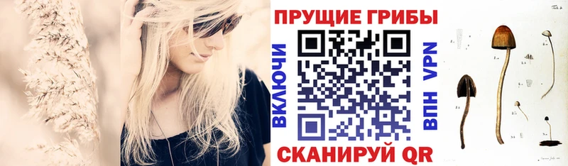 Псилоцибиновые грибы мухоморы  закладки  Старый Оскол 